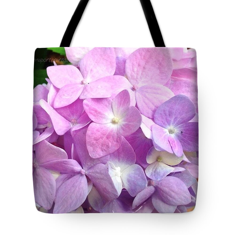 Beautiful Tote Bag featuring the photograph Pale Mauve Hydrangea, Late Season by Anna Porter