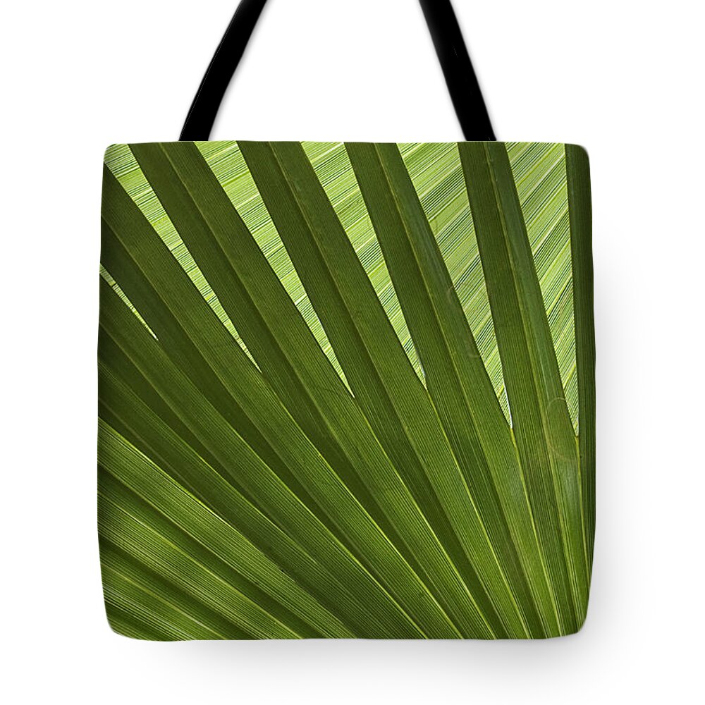 Palm Tote Bag featuring the photograph Palm Abstract by Patty Colabuono