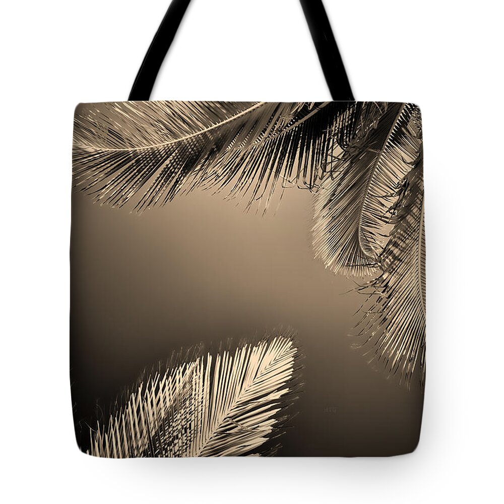 Puerto Morelos Tote Bag featuring the photograph Palm To Palm by Allan Van Gasbeck
