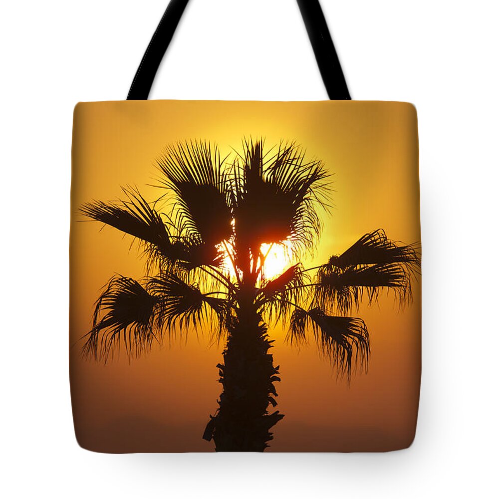 Digital Print Tote Bag featuring the photograph Palm tree at sunset by Tony Mills