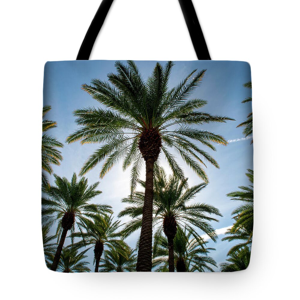 Tranquility Tote Bag featuring the photograph Palm Trees In A Date Farm by Thomas Winz