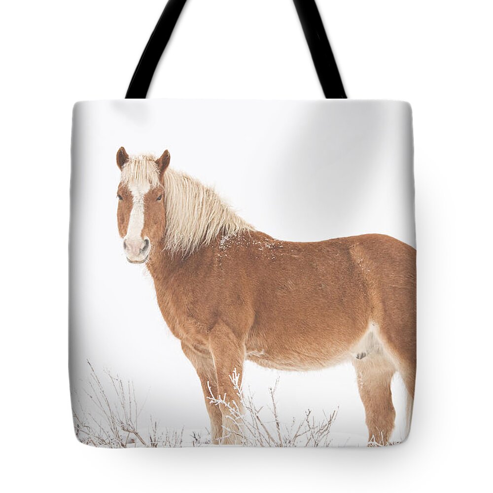 Palomino Tote Bag featuring the photograph Palomino Horse in the Snow by James BO Insogna