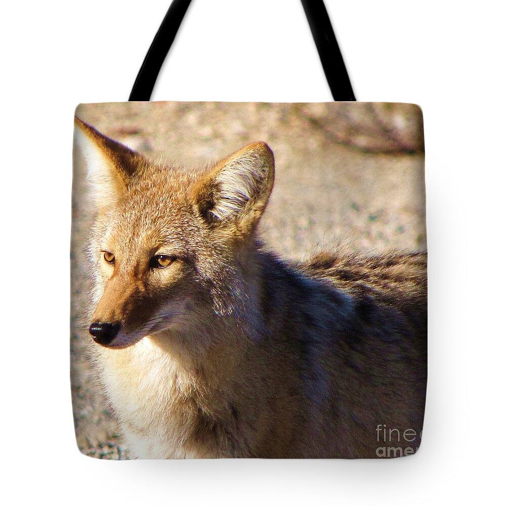 Coyote Tote Bag featuring the photograph Coyote the Trickster by Michele Penner