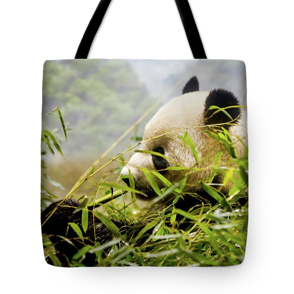 Panda Tote Bag featuring the photograph Panda by Shuttertwinz Photography Llc