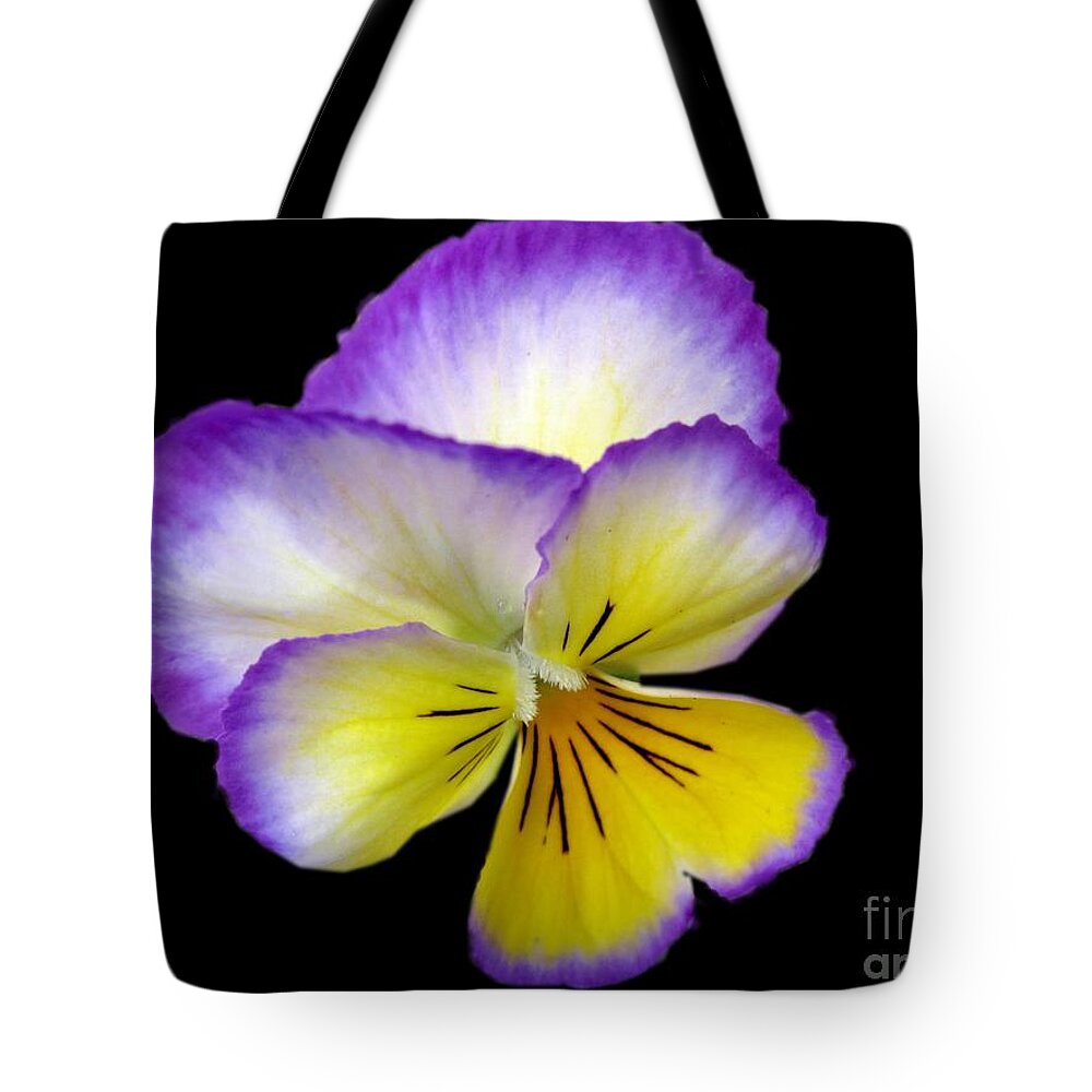 Pansy Tote Bag featuring the photograph Pansy by Carol Sweetwood