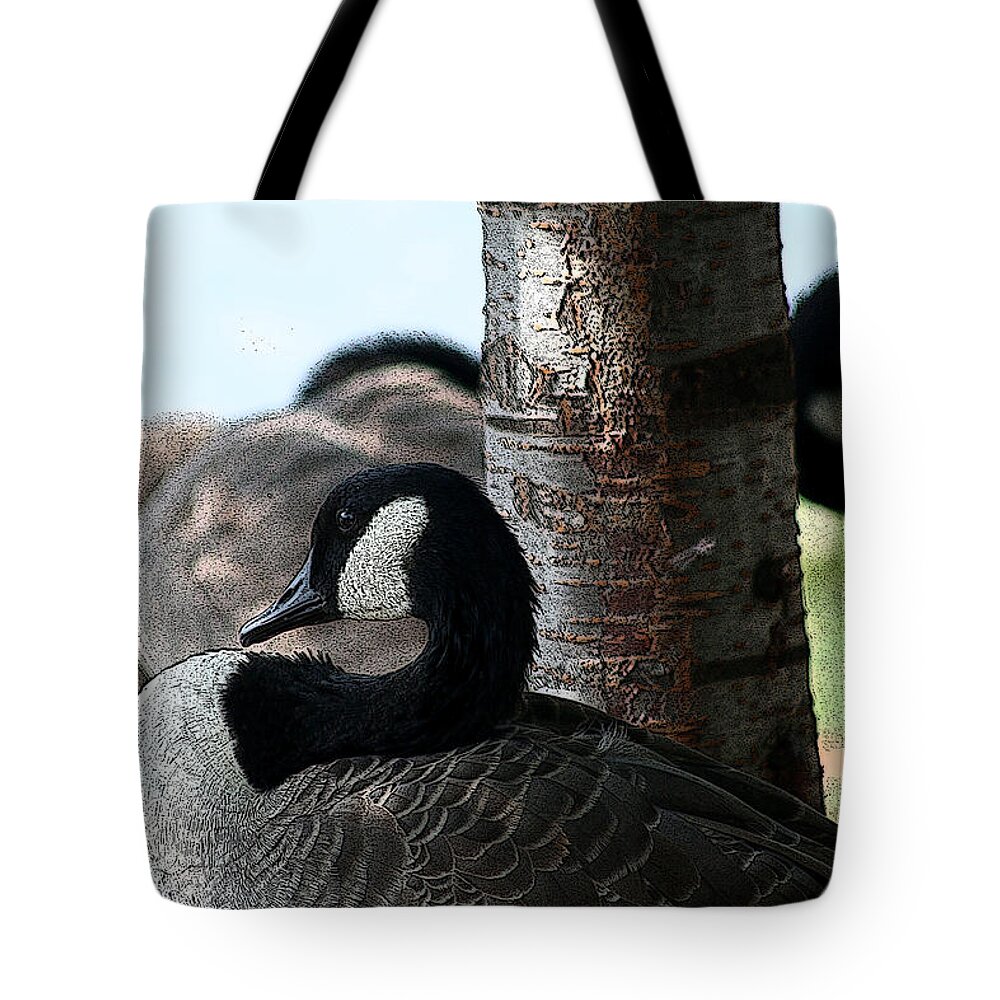 Canadian Geese Tote Bag featuring the mixed media Pap Daddy Big Spring Park by Lesa Fine
