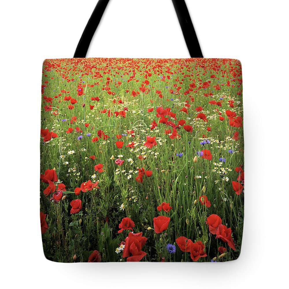 Scenics Tote Bag featuring the photograph Papaver by Miloniro