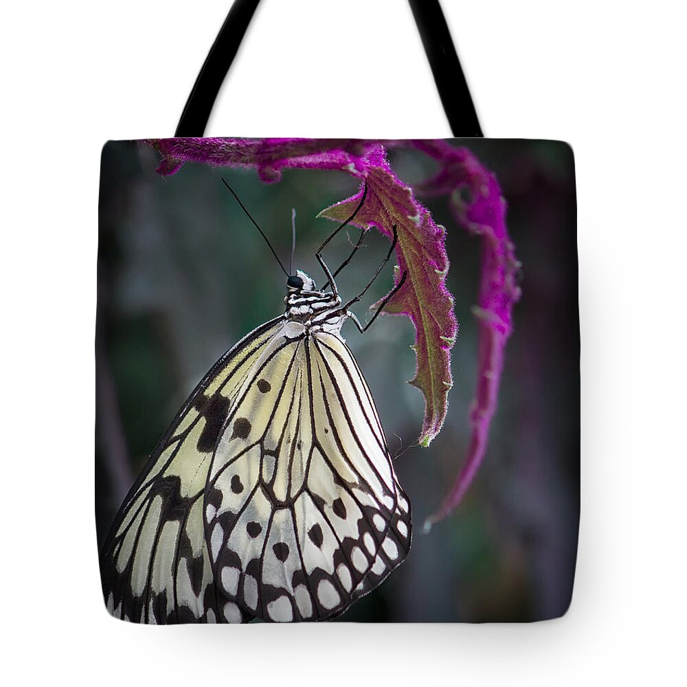 Shirley Mitchell Tote Bag featuring the photograph Paper Kite  by Shirley Mitchell