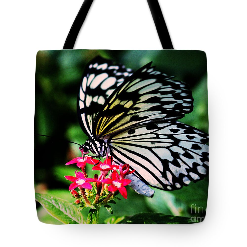 Butterfly House Tote Bag featuring the photograph Paper White Butterfly by Sandra Clark