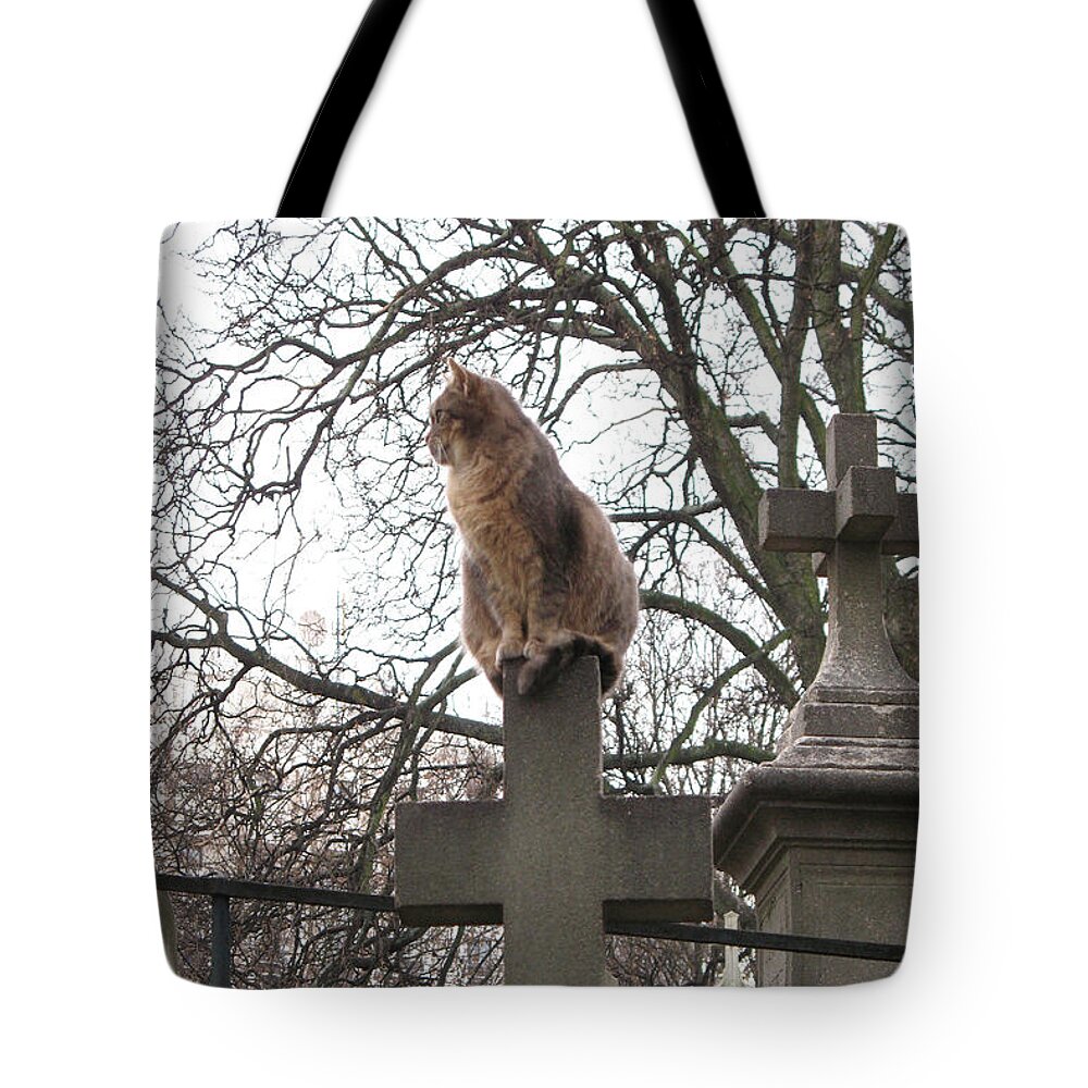 Pere Lachaise Cemetery Cats Tote Bag featuring the photograph Paris Cemetery Cats - Pere La Chaise Cemetery - Wild Cats On Cross by Kathy Fornal