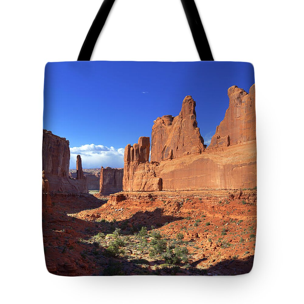 Rock Tote Bag featuring the photograph Park Avenue Sunset by Alan Vance Ley