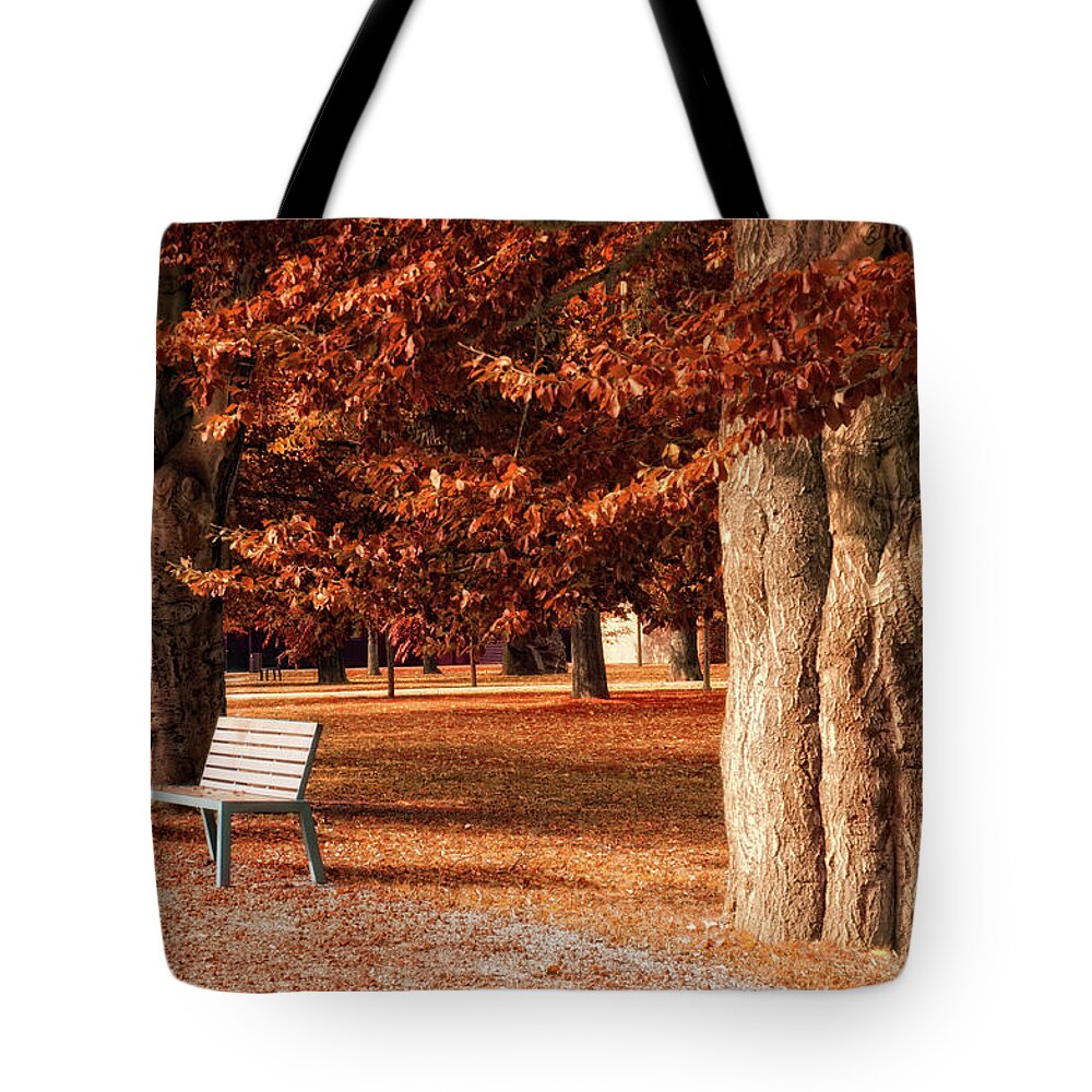 Avenue Tote Bag featuring the photograph Park With Beech Trees In Autumn by Kerrick