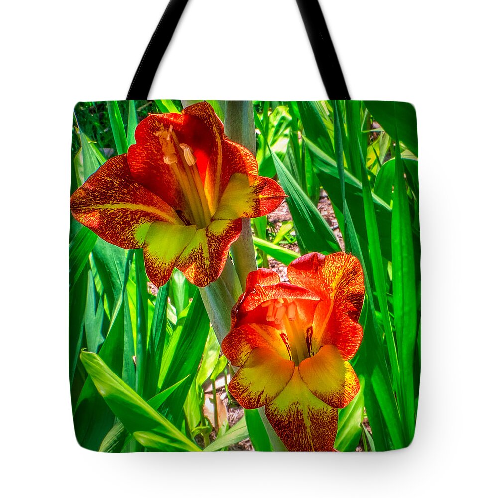 Flower Tote Bag featuring the photograph Parrot Gladiolus by Traveler's Pics