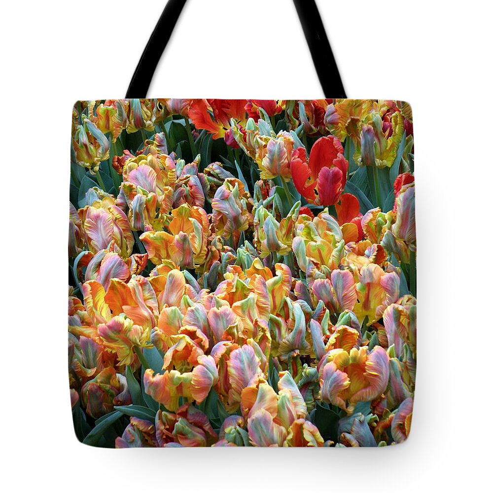 Flowers Tote Bag featuring the photograph Parrot Tulips by Tatyana Searcy
