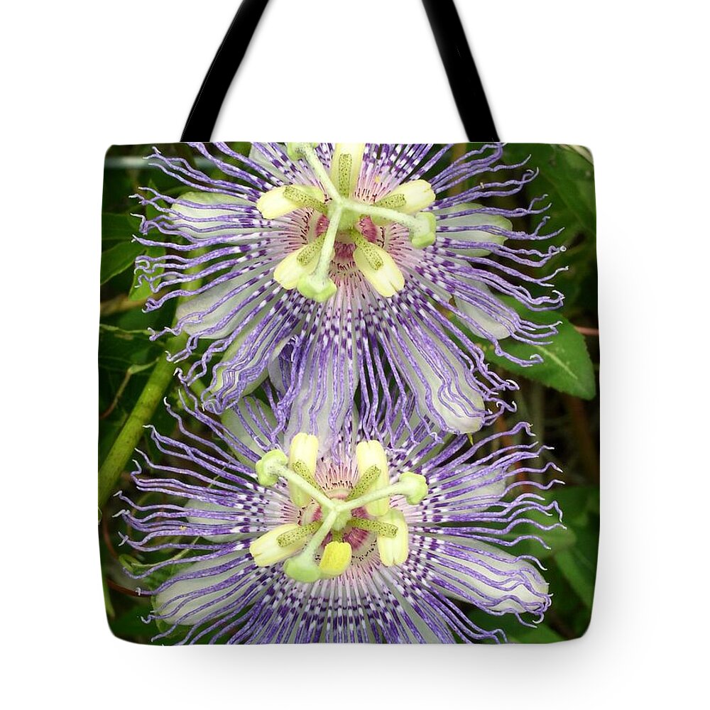 Passion Flowers Tote Bag featuring the photograph Passionate Pair by Cleaster Cotton