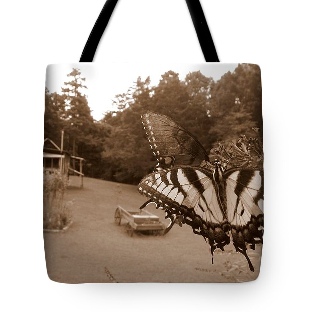 Butterfly Tote Bag featuring the photograph Past and Present by Kim Galluzzo