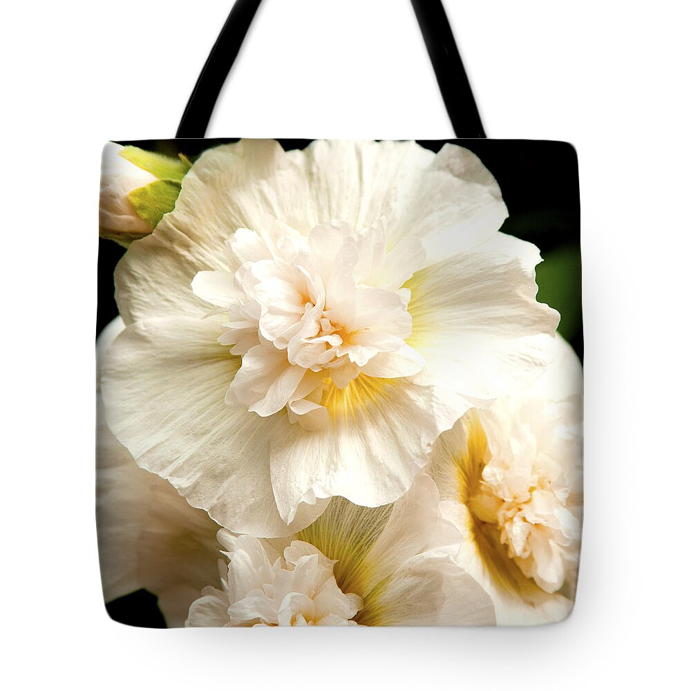 Spring White Pastel Delphinium Photographs Photography Tote Bag featuring the photograph Pastel Delphinium by Jerry Cowart