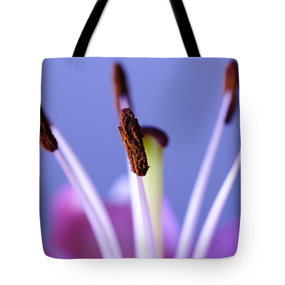 Flora Tote Bag featuring the photograph Pastels and Chocolate by Christi Kraft