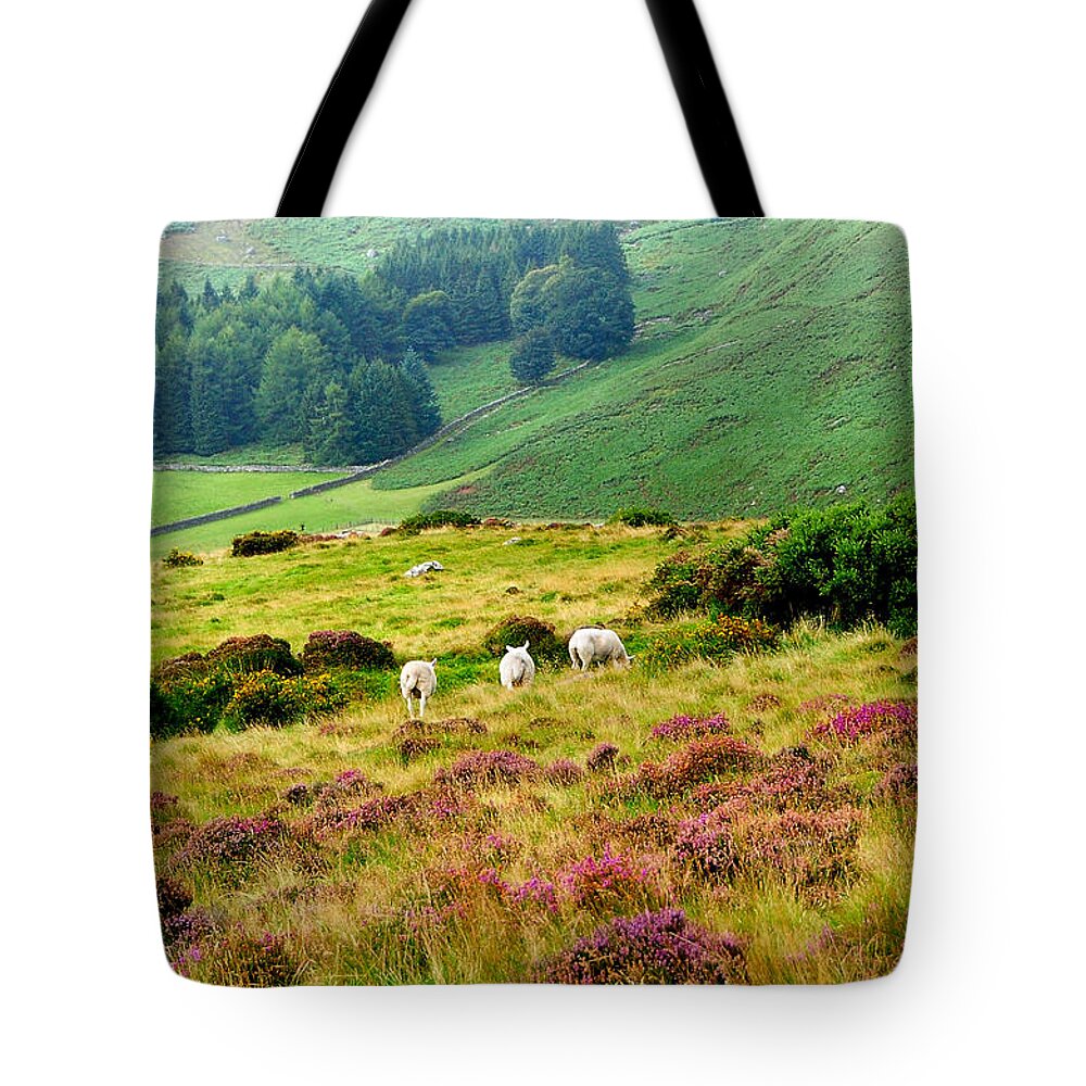 Jenny Rainbow Fine Art Photography Tote Bag featuring the photograph Pastoral Scene. Wicklow. Ireland by Jenny Rainbow