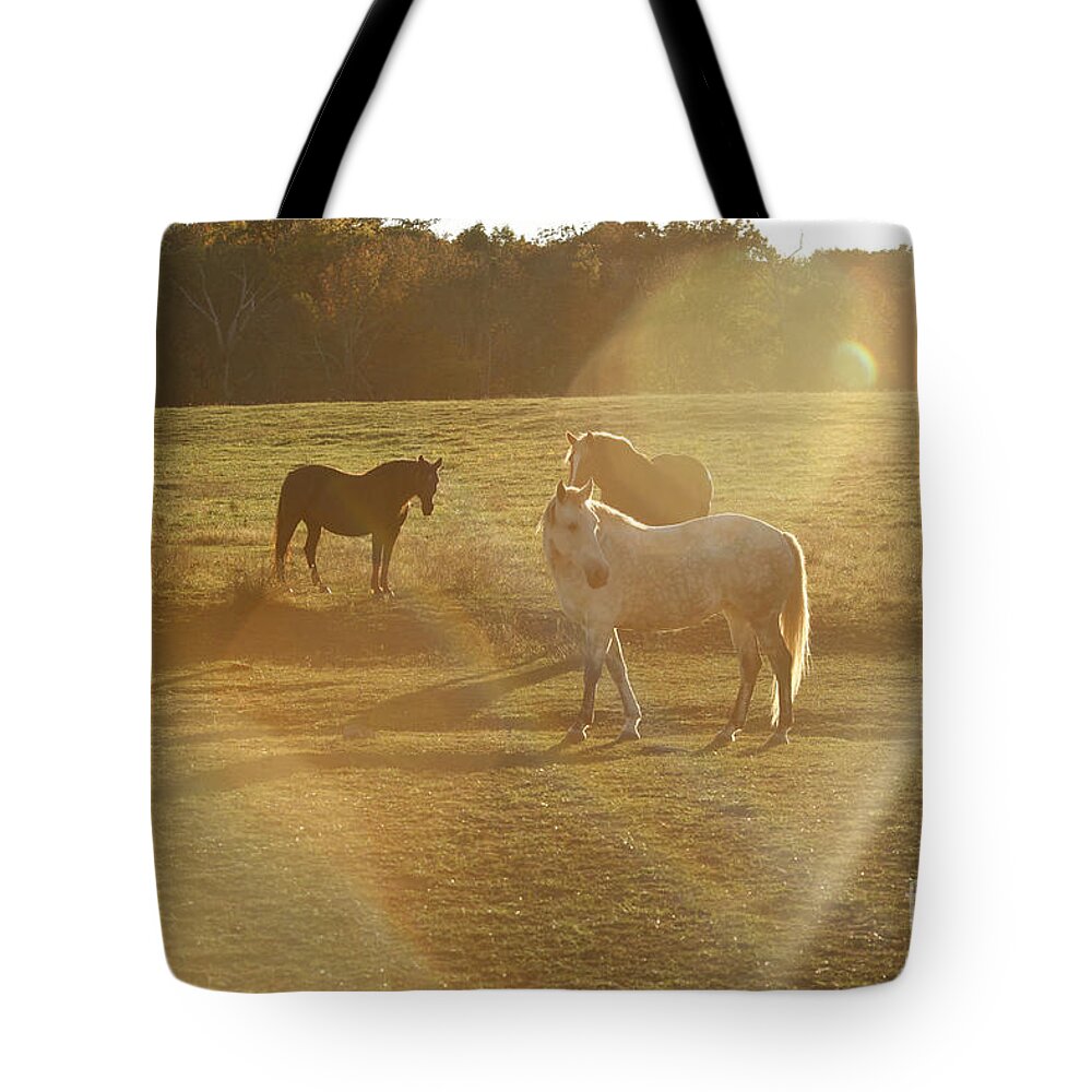 Horses Tote Bag featuring the photograph Pasture Aliens by Carol Lynn Coronios