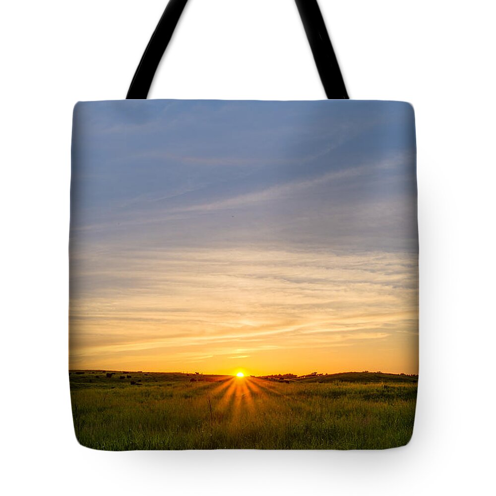 Rural Tote Bag featuring the photograph Pasture at Sunset by Adam Mateo Fierro