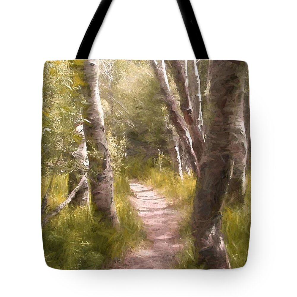 Woods Tote Bag featuring the photograph Path 1 by Pamela Cooper