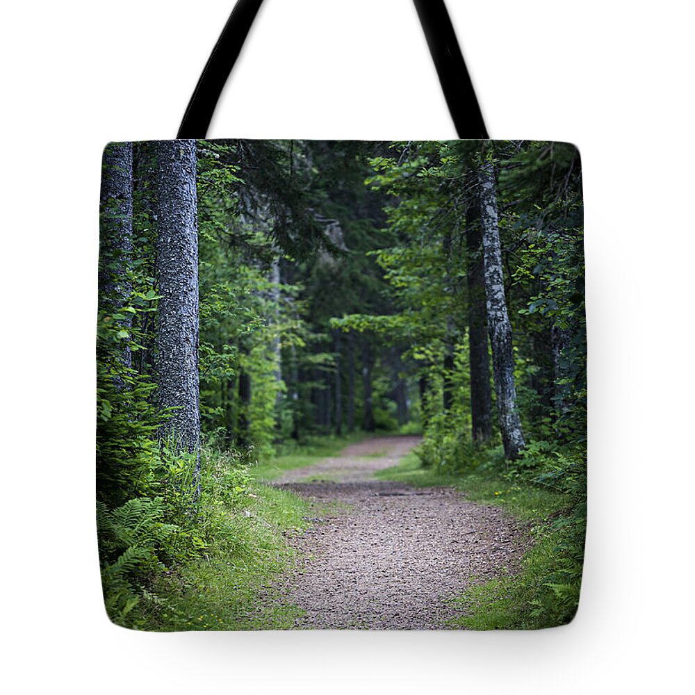 Path Tote Bag featuring the photograph Path in dark forest 2 by Elena Elisseeva