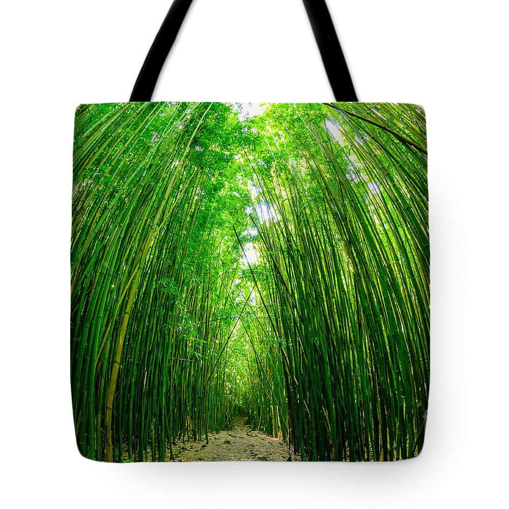 Hawaii Tote Bag featuring the photograph Path through a bamboo forrest on Maui Hawaii USA by Don Landwehrle