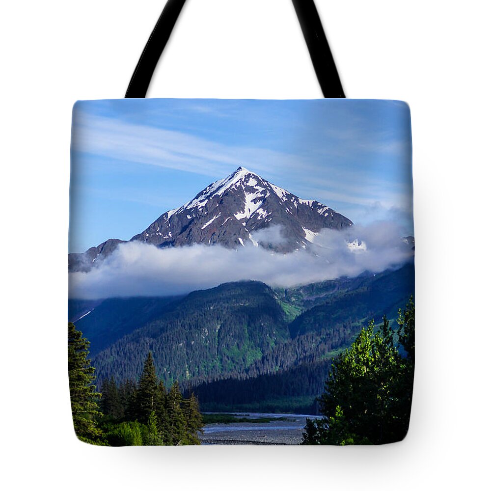 Alaska Tote Bag featuring the photograph Path through Alaska by Jennifer White