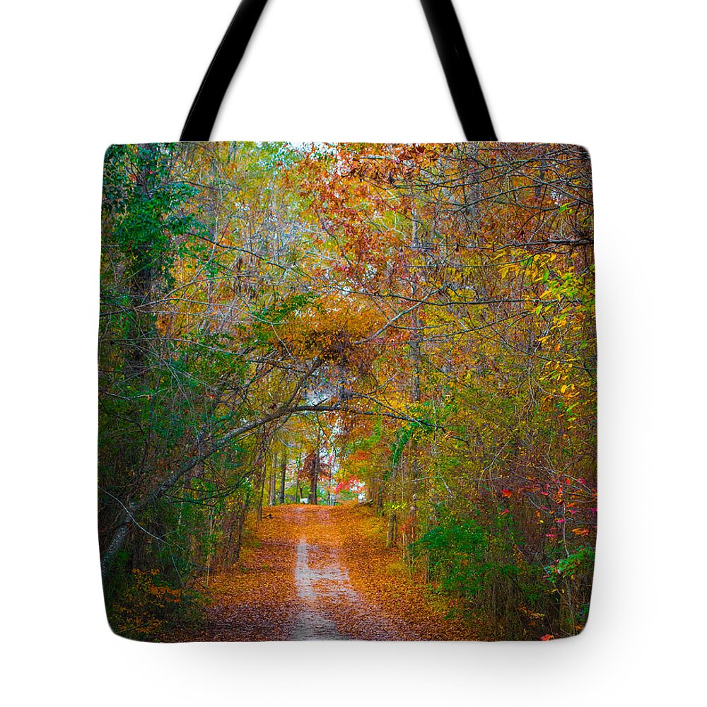 Path Tote Bag featuring the photograph Path to the Fairies by Parker Cunningham
