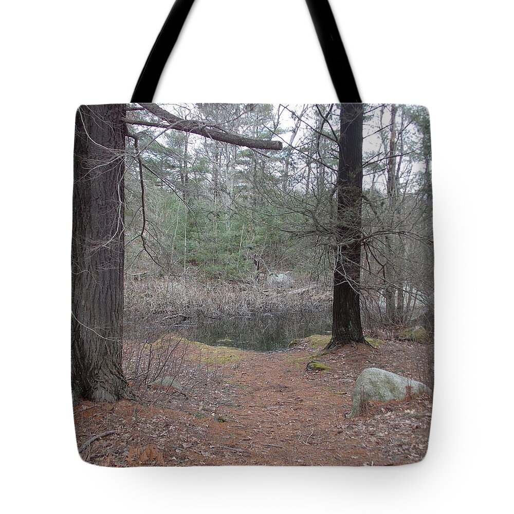 Lynn Tote Bag featuring the photograph Path to the Pond by Catherine Gagne