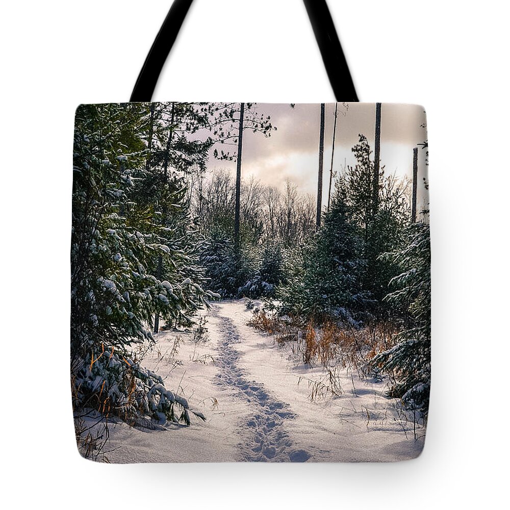 Snow Tote Bag featuring the photograph Pathways by Jody Partin
