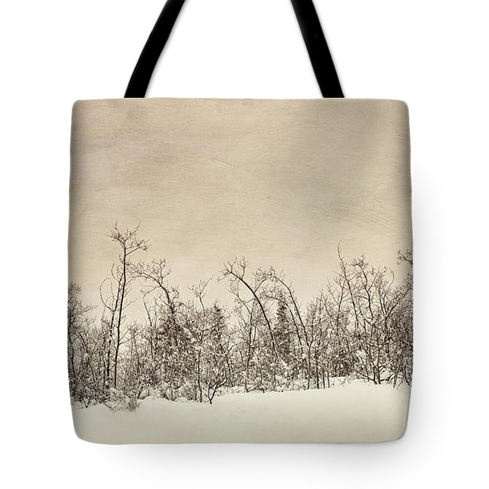 Beige Tote Bag featuring the photograph Patience by Priska Wettstein