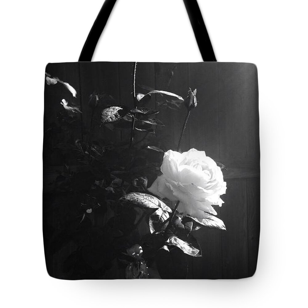 Rose Tote Bag featuring the photograph Peace in the Morning by Vonda Lawson-Rosa