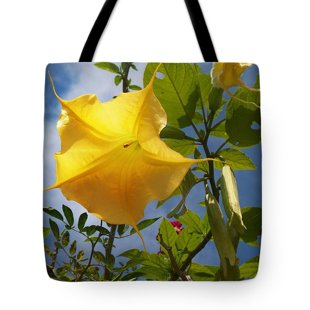 Angel's Trumpet Tote Bag featuring the photograph Peace by Joy Nichols