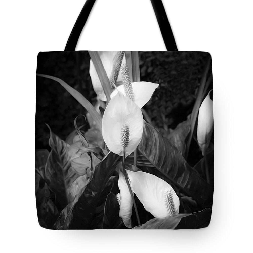 Lily Tote Bag featuring the photograph Peace Lily or Spath Lily BW by Rich Franco