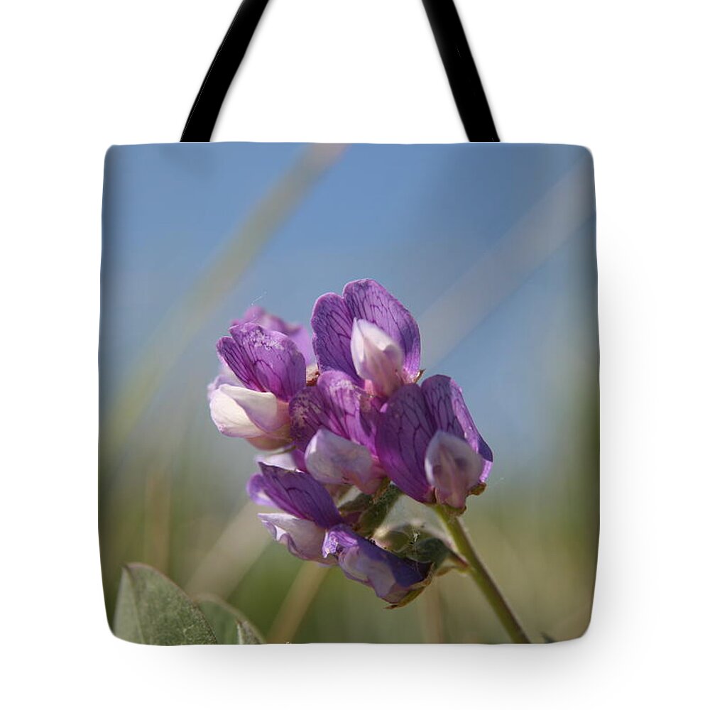 Peace Of Purple Tote Bag featuring the photograph Peace of Purple by Neal Eslinger