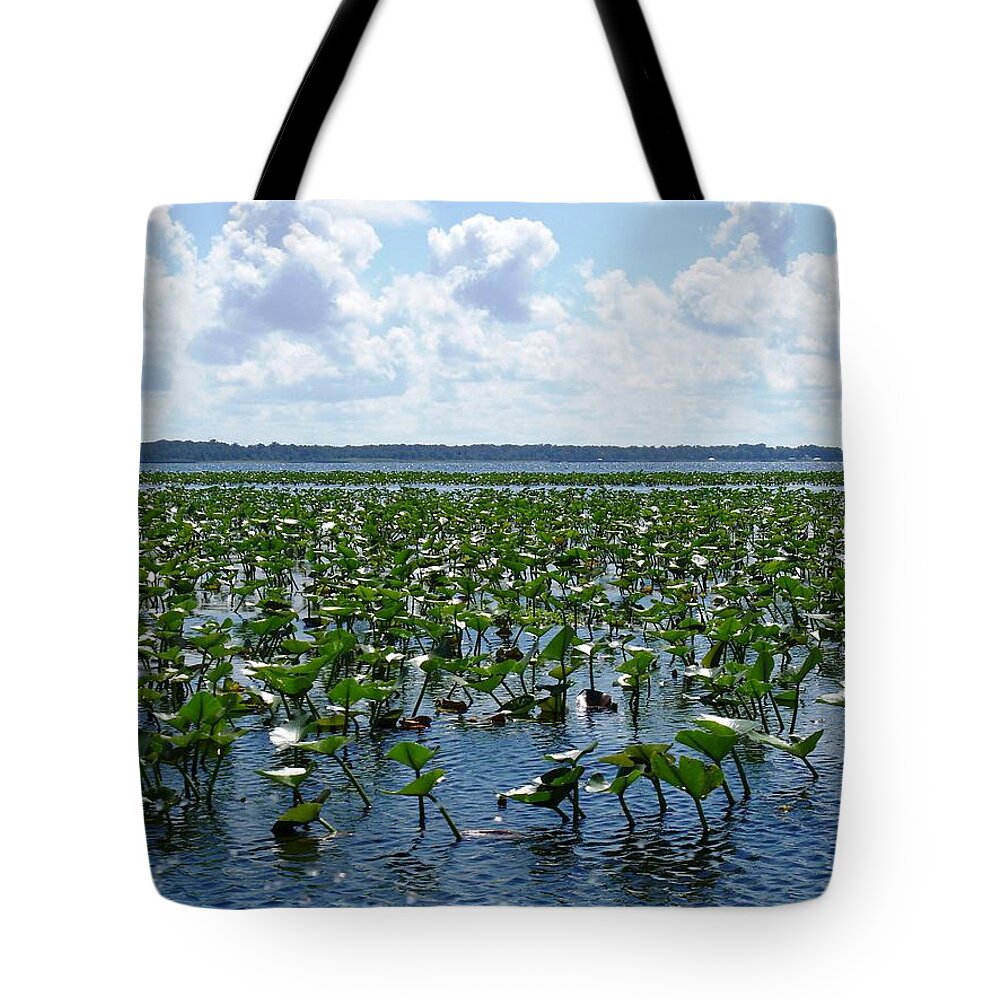Florida Tote Bag featuring the photograph Peace on the Lake by Lindsey Floyd