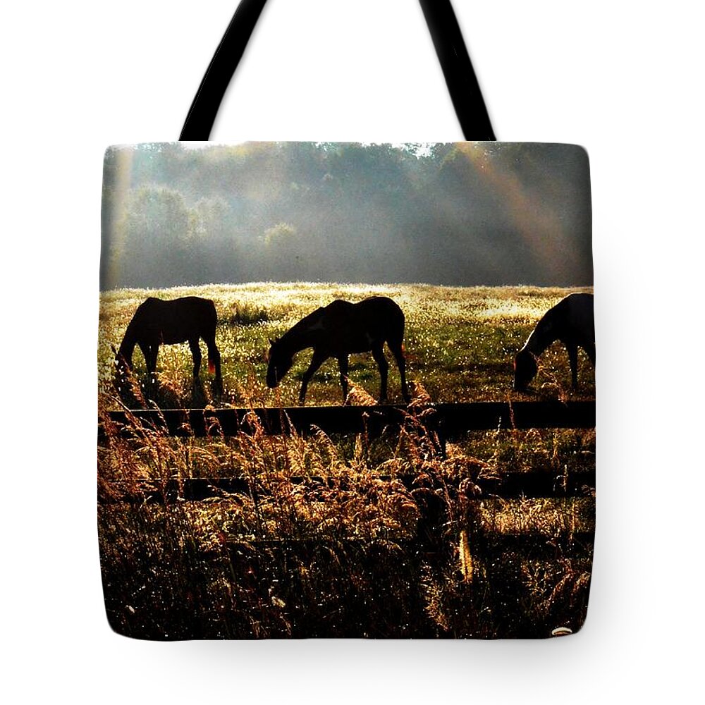 Horse Tote Bag featuring the photograph Peaceful pasture by Carlee Ojeda