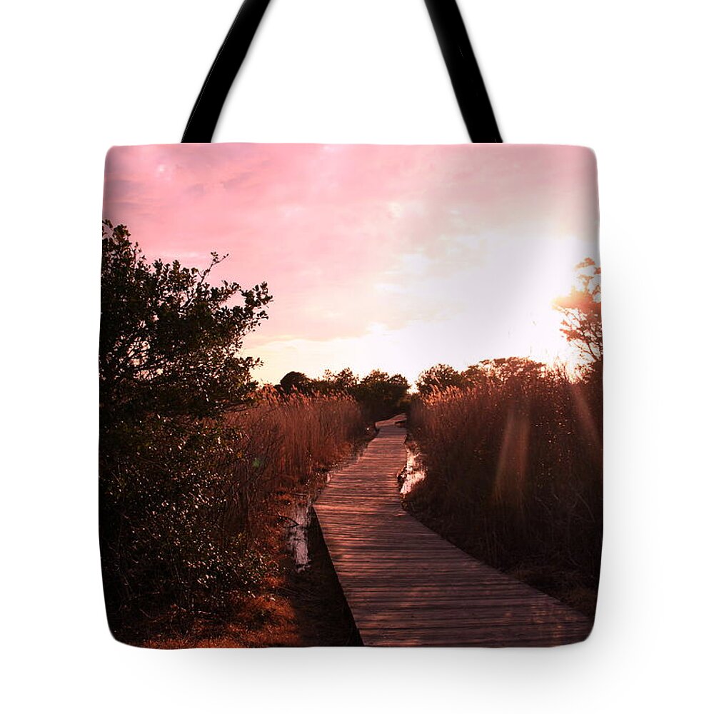 Winter Tote Bag featuring the photograph Peaceful Path by Karen Silvestri