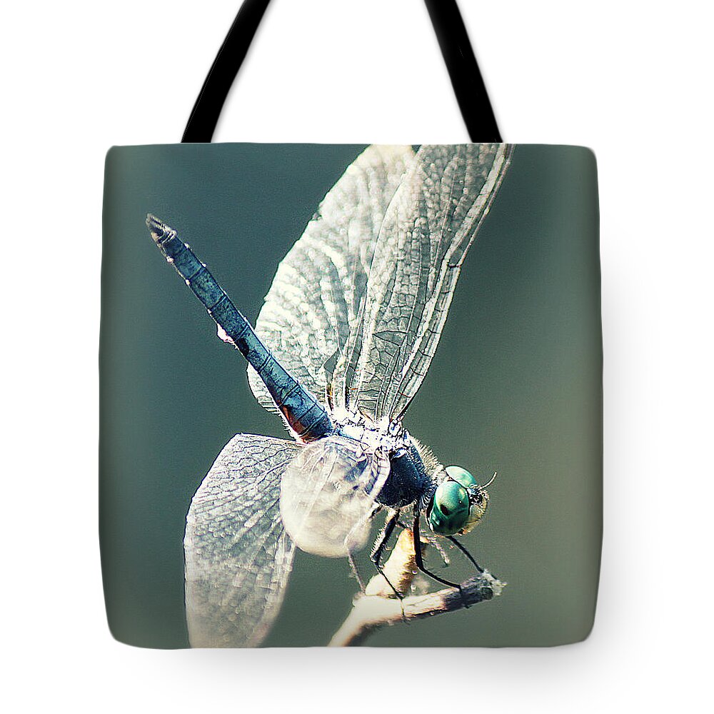 Dragonfly Tote Bag featuring the photograph Peaceful Pause by Melanie Lankford Photography