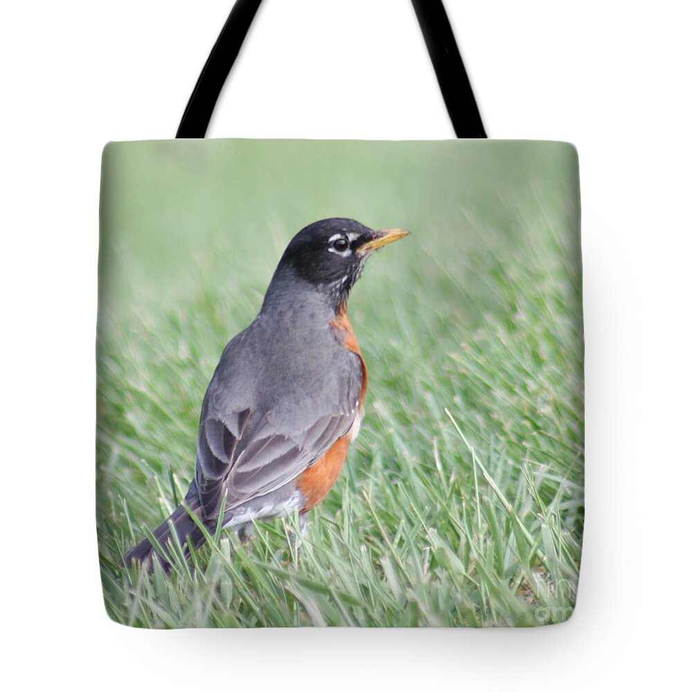 Christian Tote Bag featuring the photograph Peaceful Robin by Anita Oakley