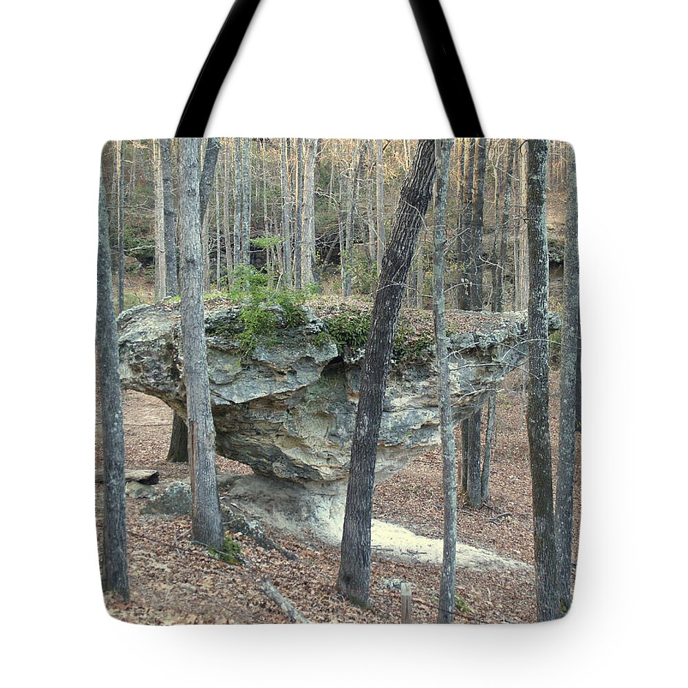 Peach Tote Bag featuring the photograph Peach Tree Rock-5 by Charles Hite