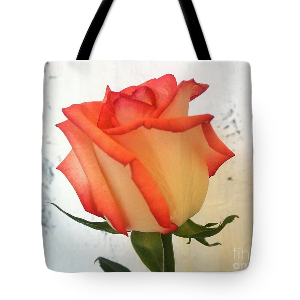 Photo Tote Bag featuring the photograph Peach Trim Rose by Marsha Heiken