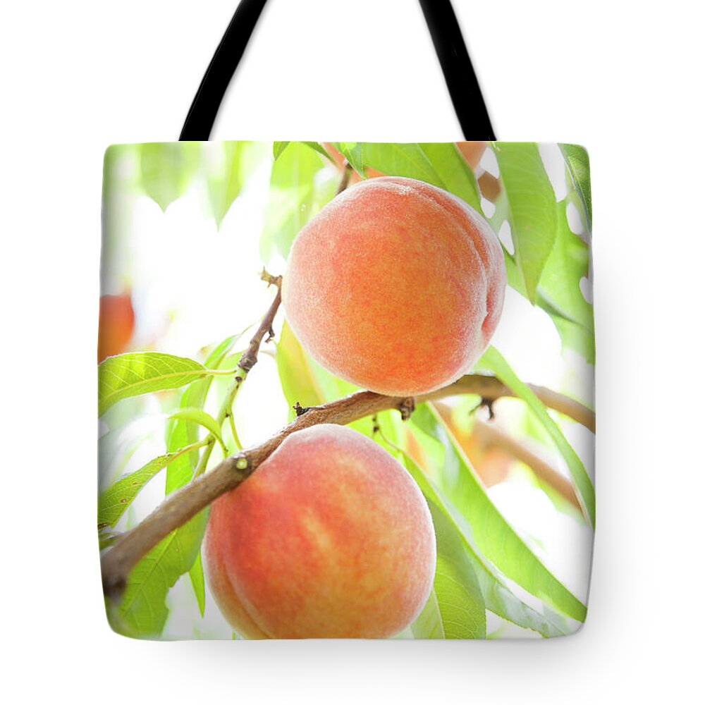 Coral Colored Tote Bag featuring the photograph Peaches Growing In Tree by Jacqueline Veissid