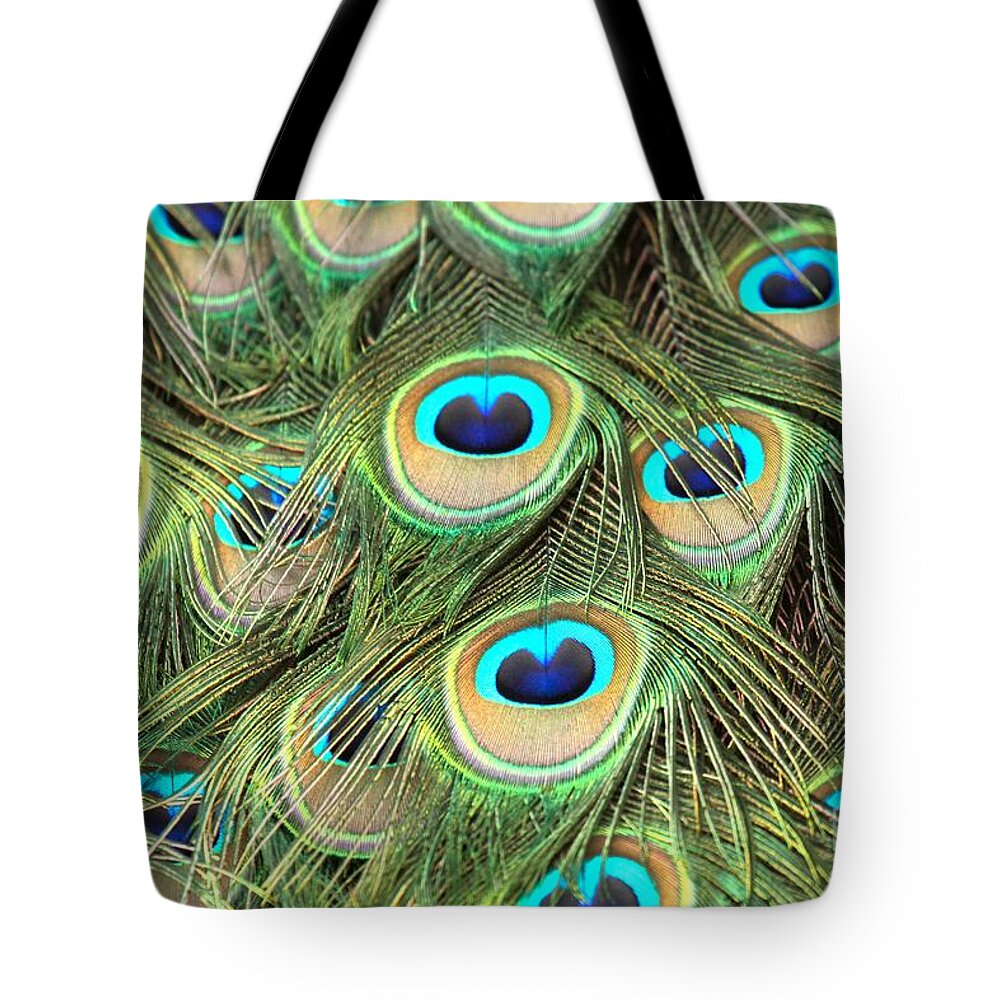 Peacock Feathers Tote Bag featuring the photograph Peacock Circles by Adam Jewell