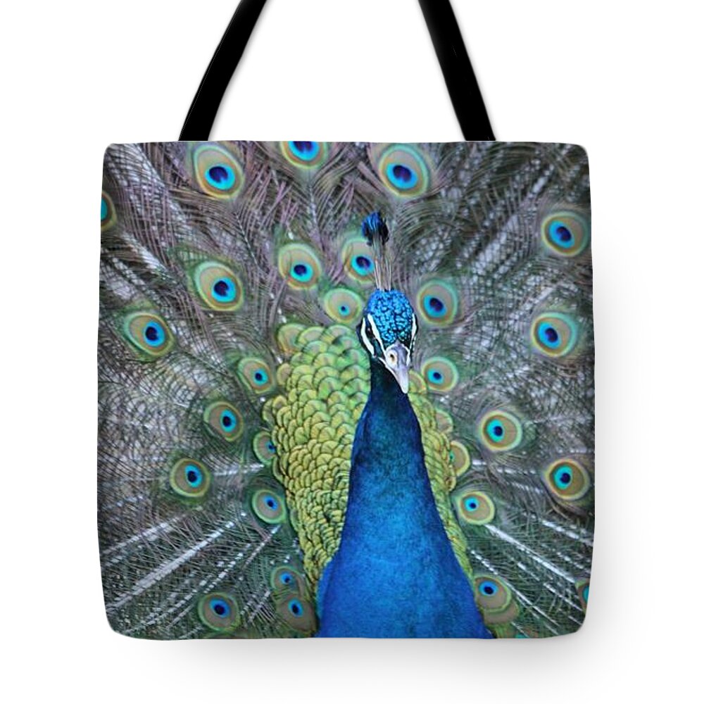 Peacock Tote Bag featuring the photograph Peacock by Elizabeth Budd