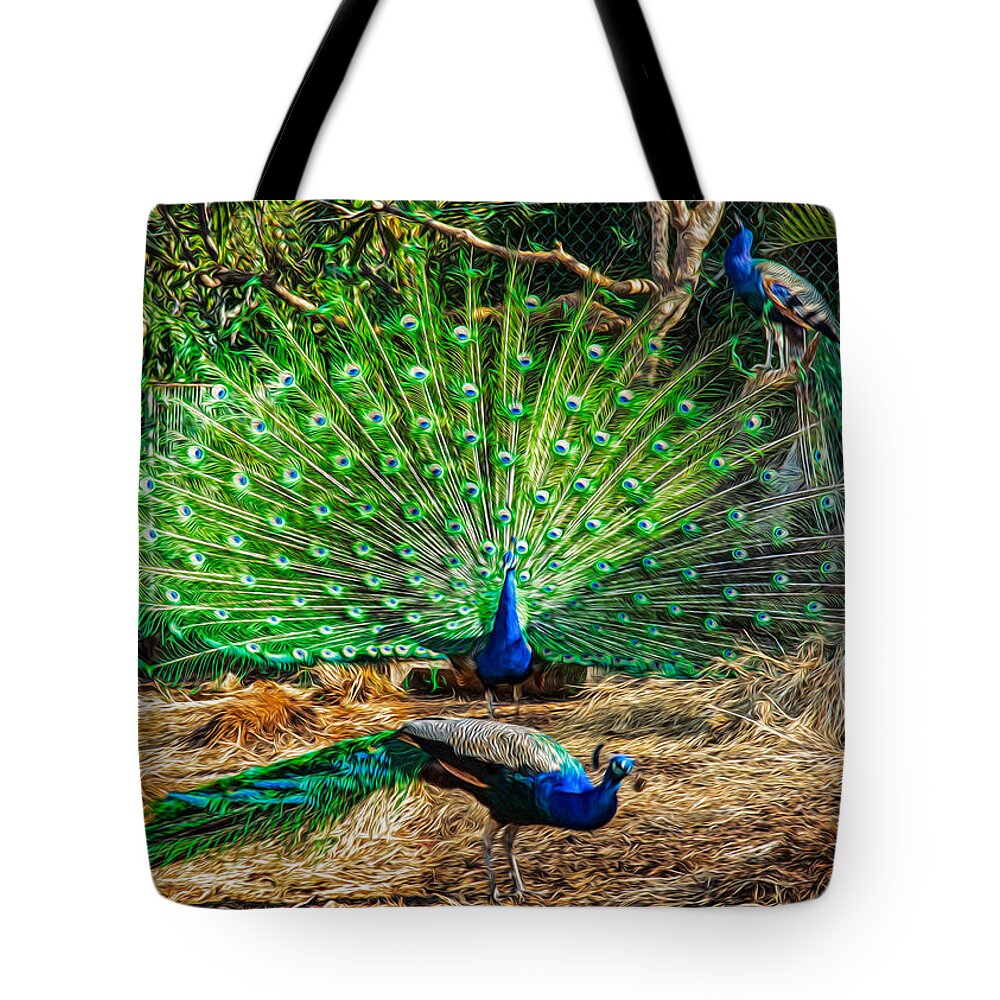 Peacock Tote Bag featuring the painting Peacocking by Omaste Witkowski