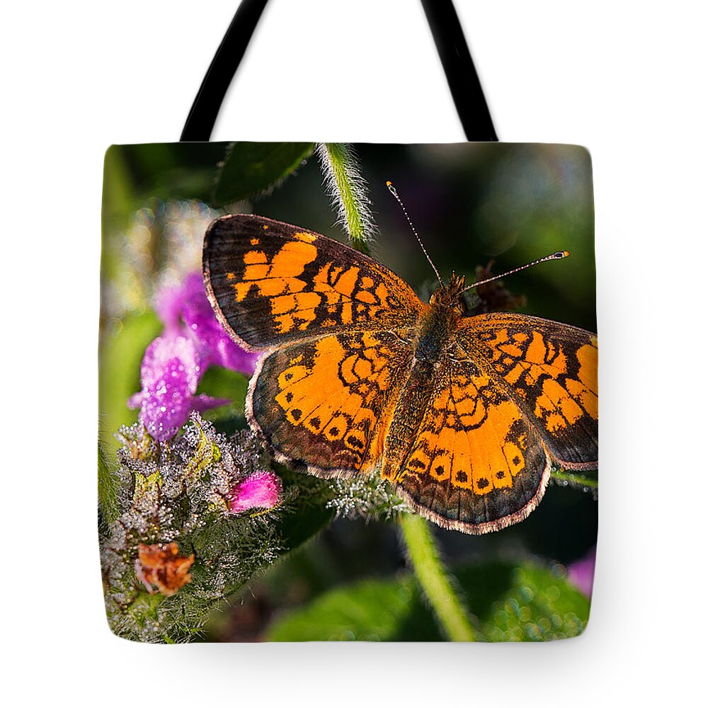Pearl Crescent Tote Bag featuring the photograph Pearl Crescent note card by Everet Regal