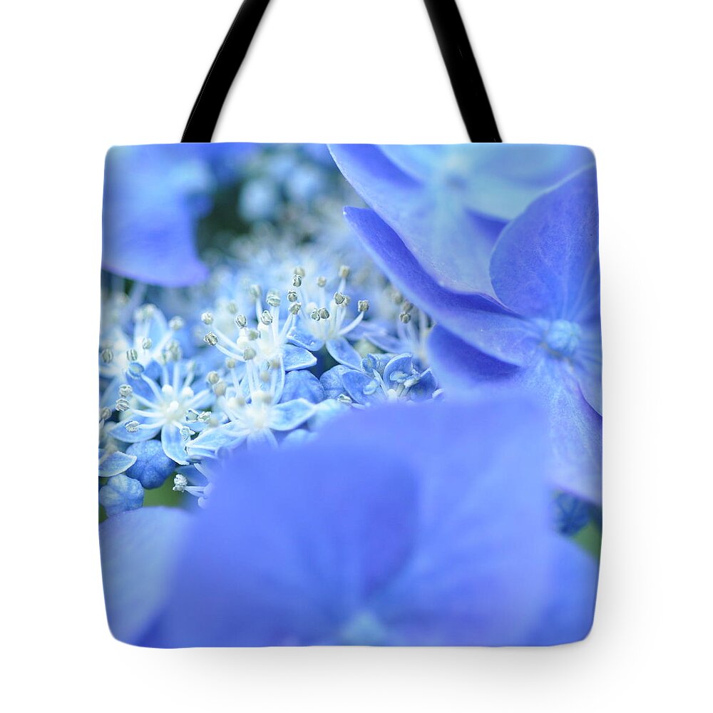 Blue Tote Bag featuring the photograph Peek a Blue by Christina McKinney